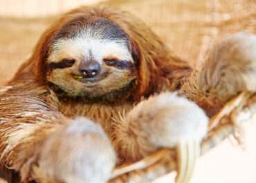 Planning a Trip to Costa Rica?